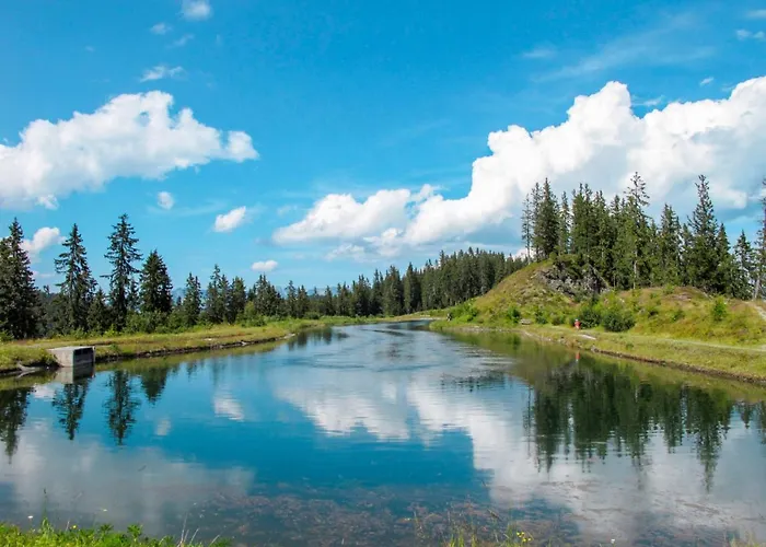 Eberharter-1 By Interhome アパート ハート・イム・ツィラータール